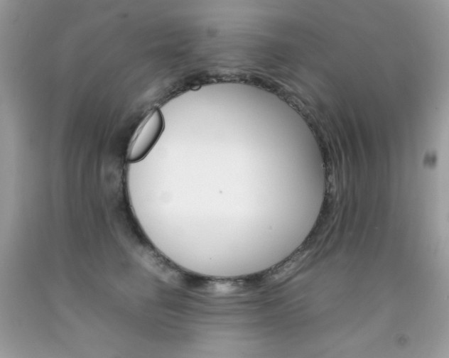 X0000092250662200709141006