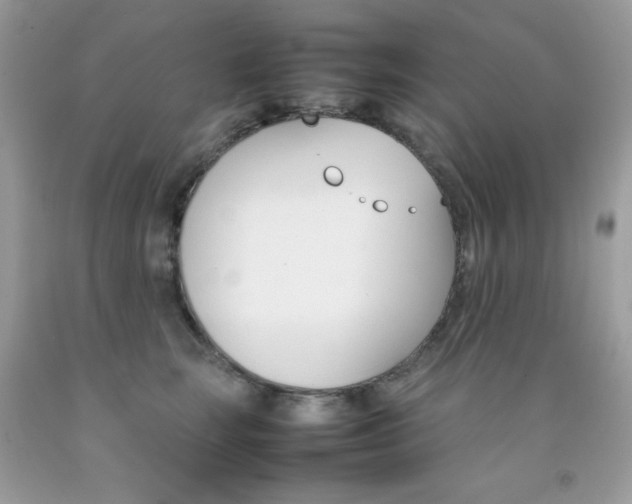 X0000092250663200709141006