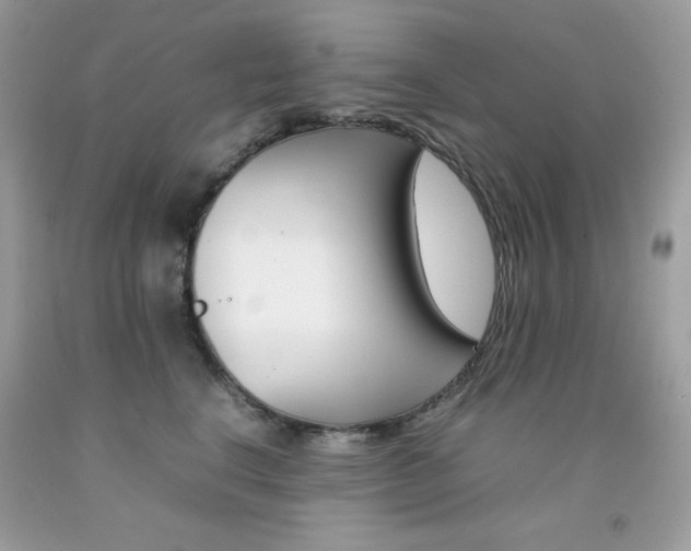 X0000092250664200709141006