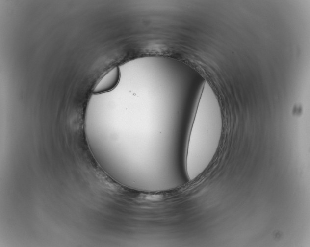 X0000092250665200709141006