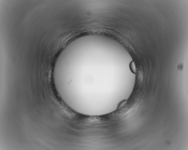 X0000092250668200709141006