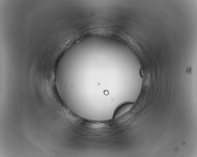 X0000092250669200709141006