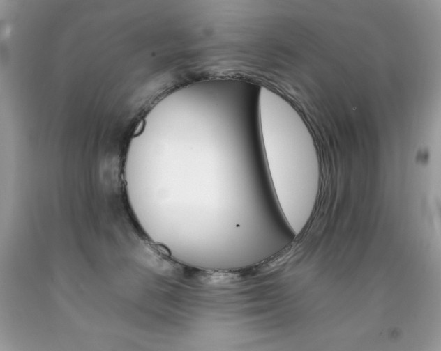 X0000092250670200709141006