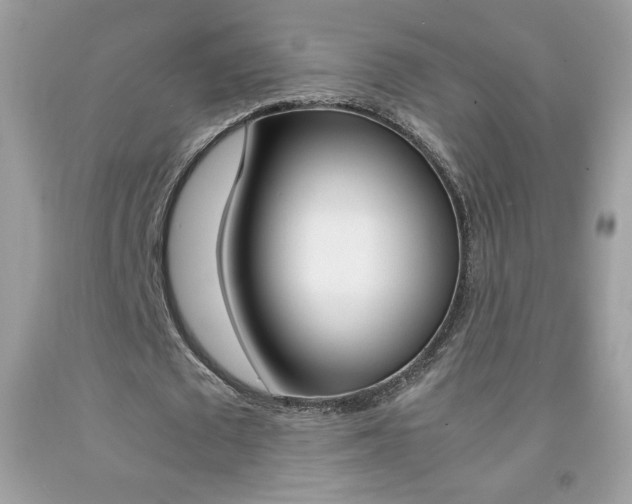 X0000092250673200709141006