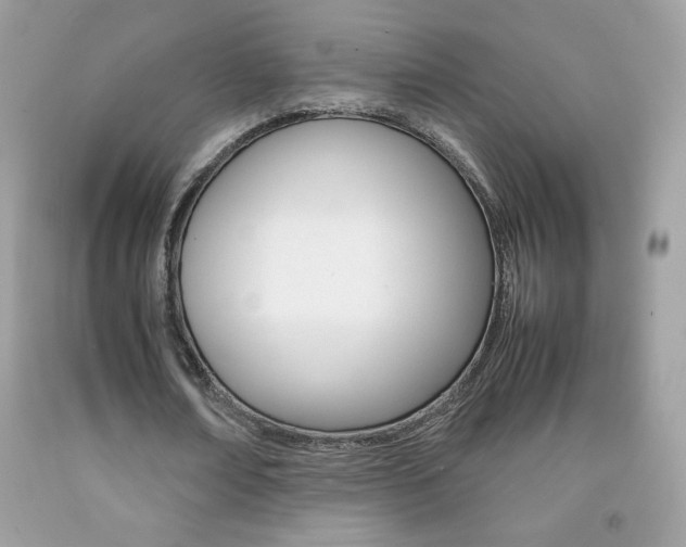 X0000092250674200709141006