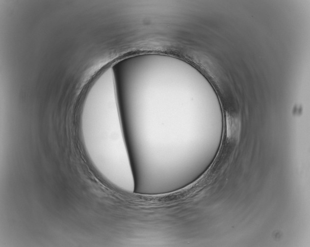 X0000092250675200709141006