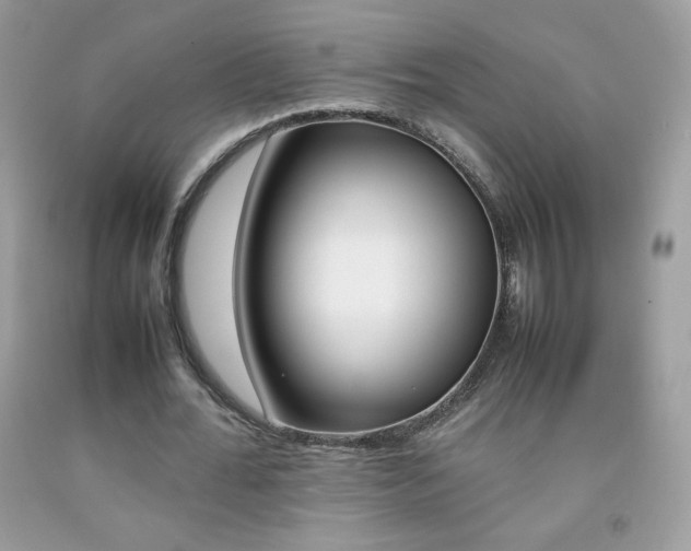 X0000092250676200709141006
