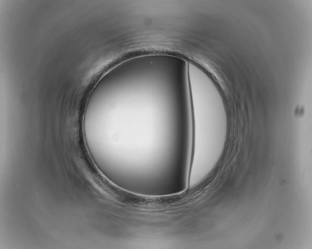 X0000092250677200709141006