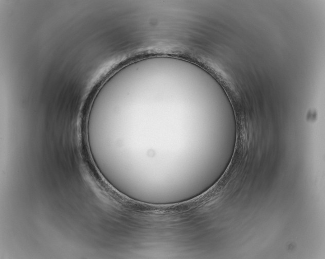 X0000092250678200709141006