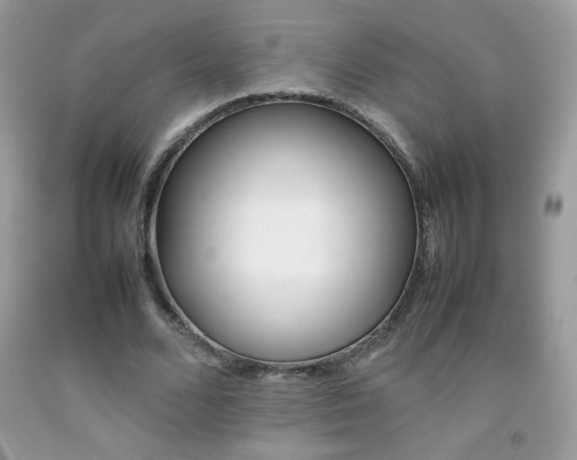 X0000092250680200709141006