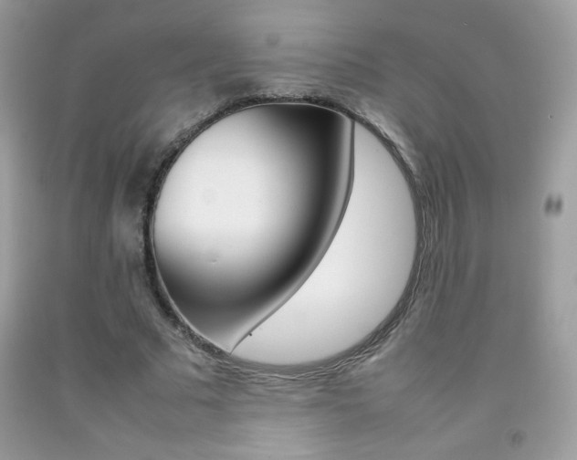 X0000092250681200709141006