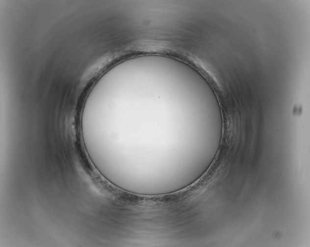 X0000092250682200709141006