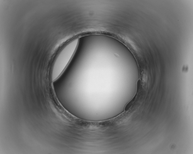 X0000092250684200709141006