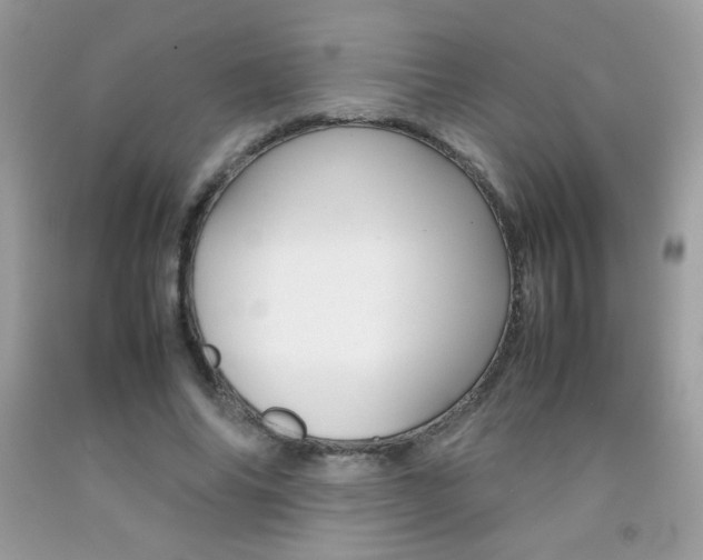X0000092250686200709141006