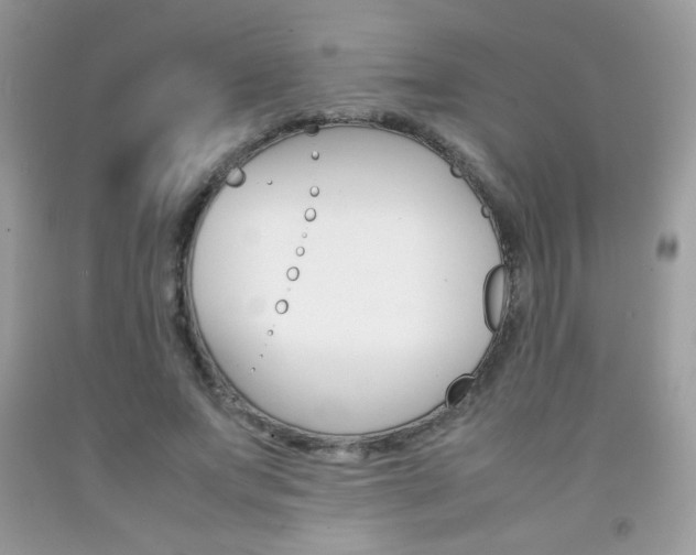 X0000092250687200709141006