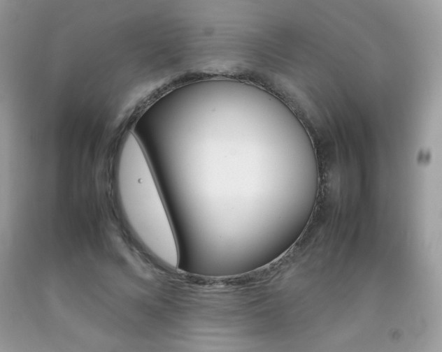 X0000092250688200709141006