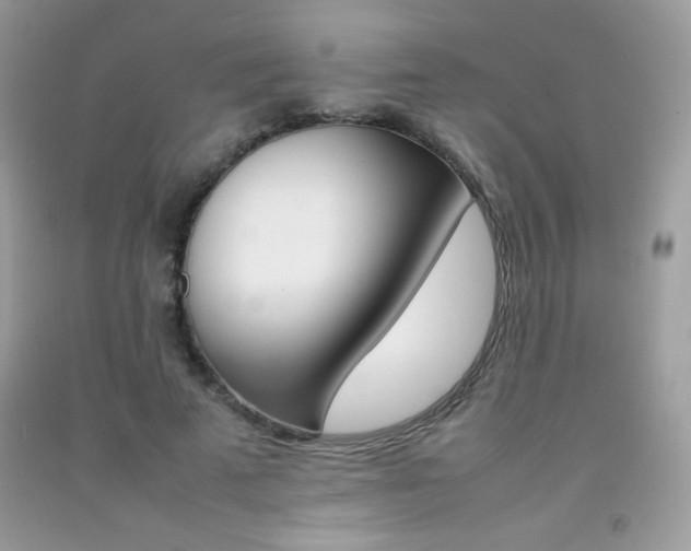 X0000092250689200709141006