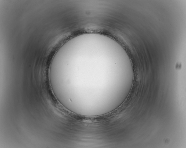 X0000092250690200709141006