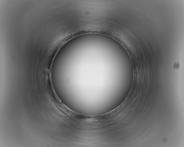 X0000092250692200709141006