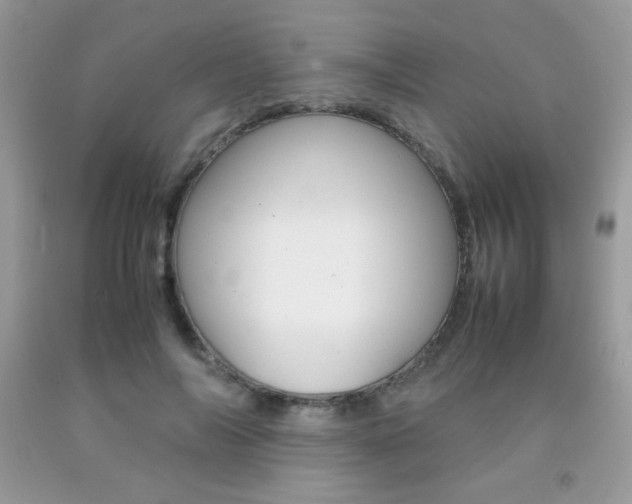 X0000092250694200709141005