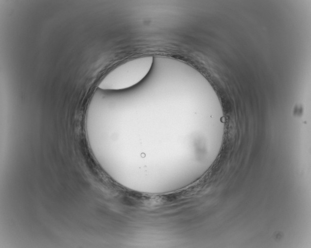 X0000092250695200709141005