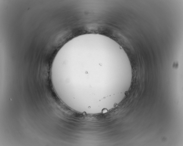 X0000092250702200709141005