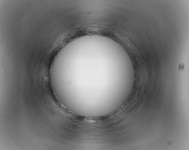 X0000092250706200709141005