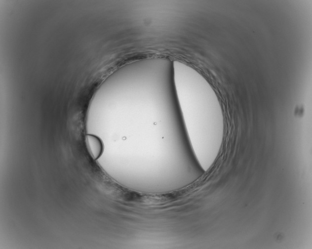 X0000092250707200709141005