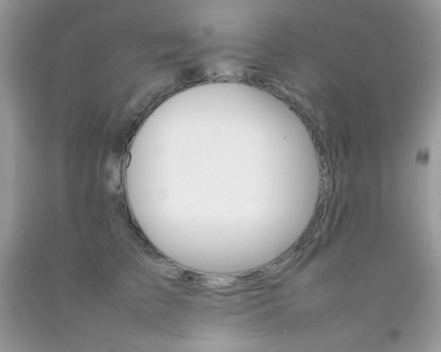 X0000092250709200709141005