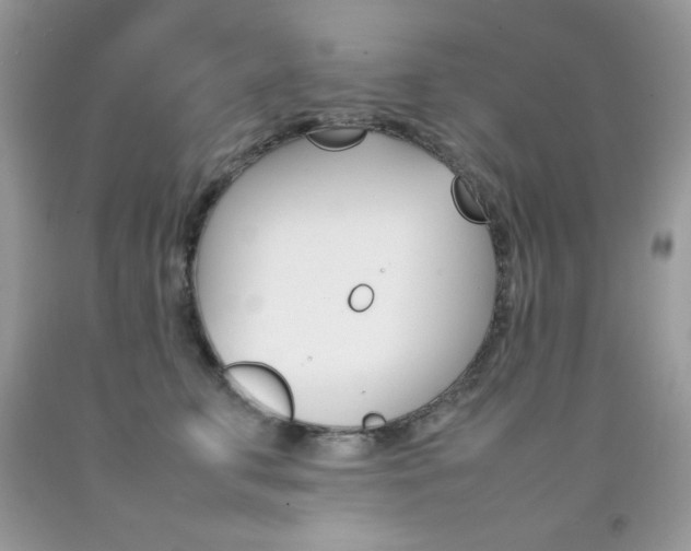 X0000092250711200709141005