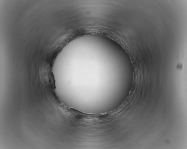 X0000092250712200709141005