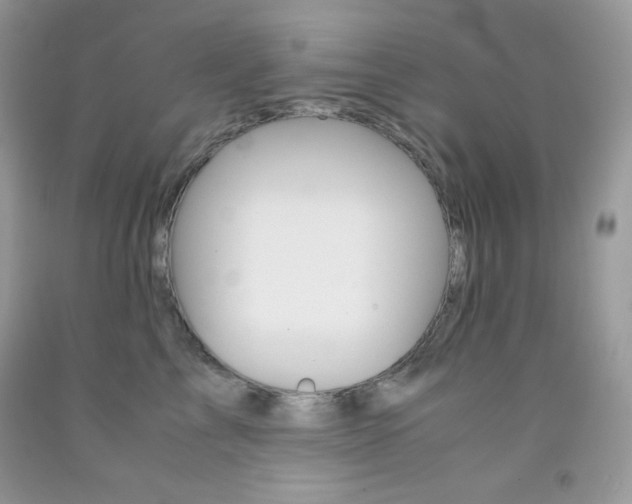 X0000092250713200709141005