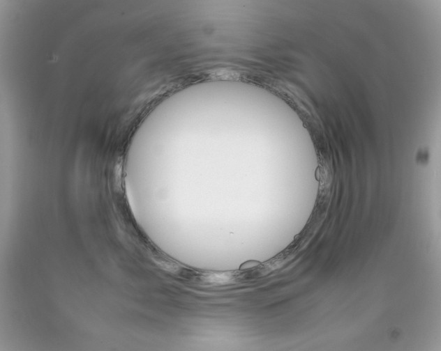 X0000092250717200709141005
