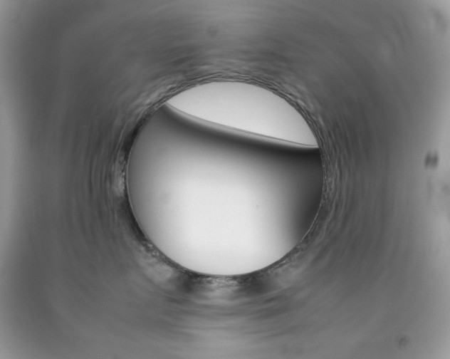 X0000092250719200709141005