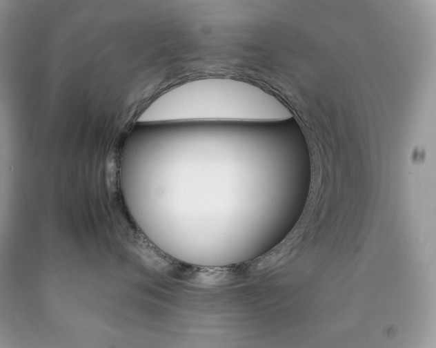 X0000092250720200709141005
