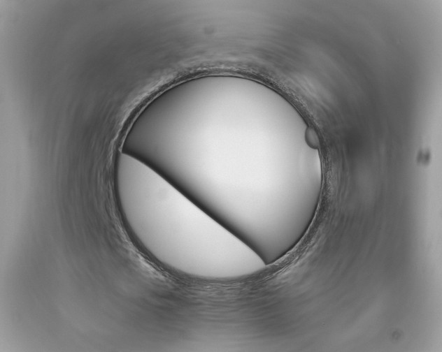X0000092250721200709141005