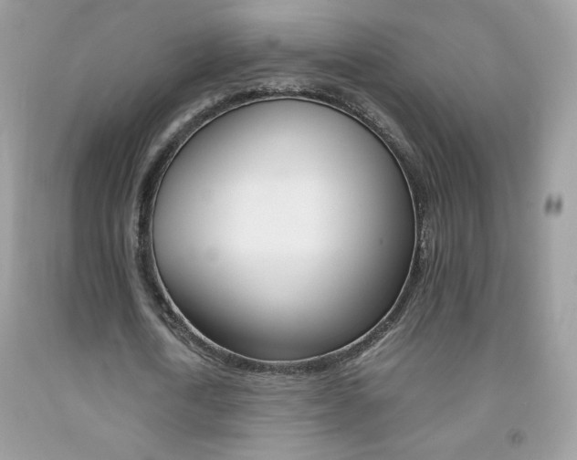 X0000092250722200709141005