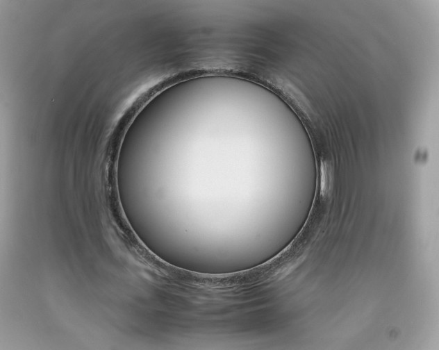 X0000092250723200709141005