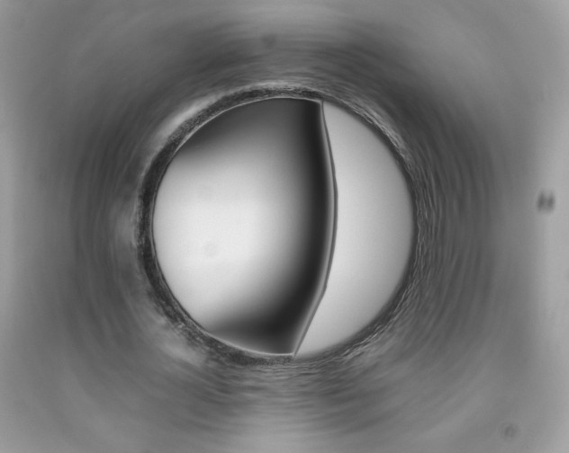 X0000092250724200709141005