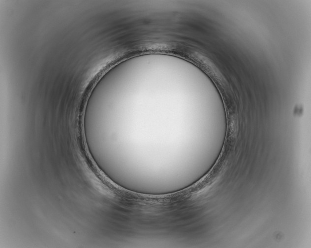 X0000092250725200709141005