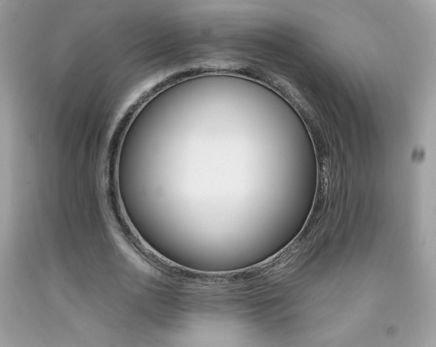 X0000092250726200709141005