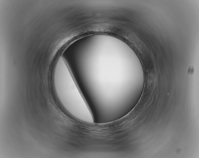 X0000092250727200709141005