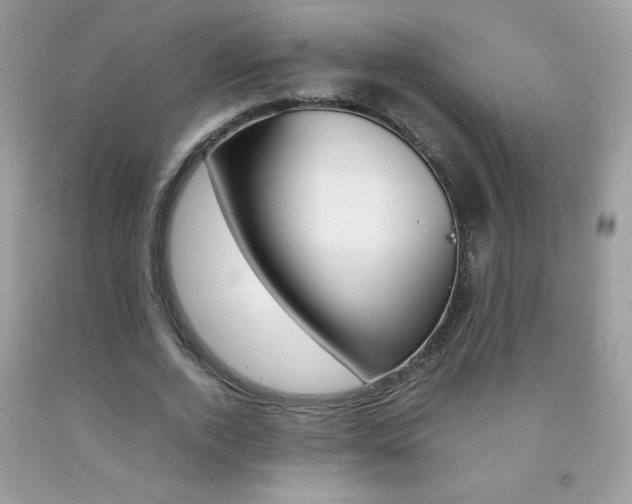 X0000092250728200709141005