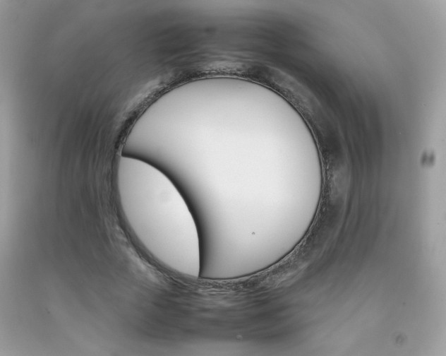 X0000092250729200709141005