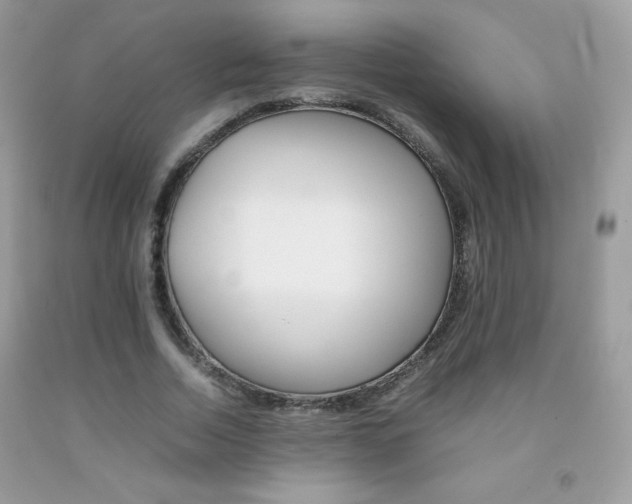 X0000092250730200709141005