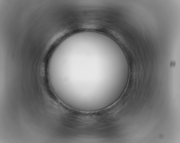 X0000092250731200709141005