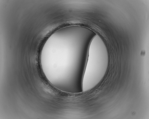 X0000092250732200709141005