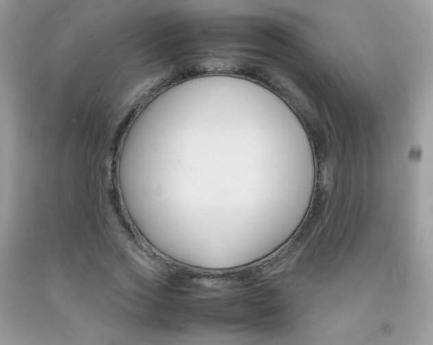 X0000092250733200709141005