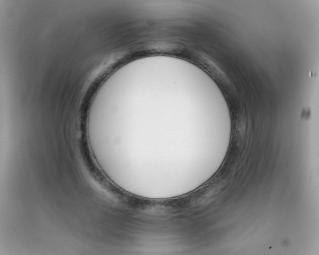 X0000092250734200709141005