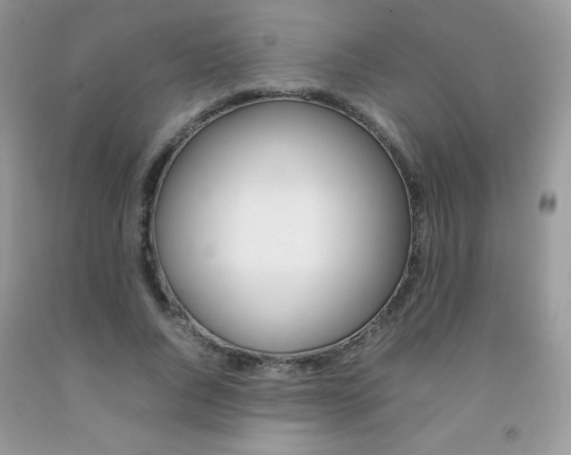 X0000092250736200709141005